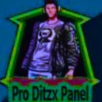 Ditzx Panel