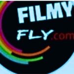 Filmyfly Com