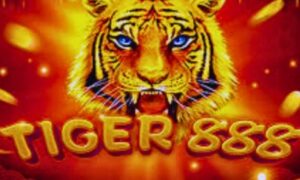 Tiger888 Game Slot Pakistan 2